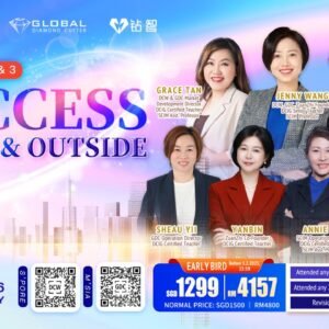 Alternative view of Level 123 Success Inside & Outside 内外皆成功