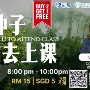 Plant seeds to attend class 种种子去上课 - BUY 2X GET 1 FREE | 买2送1